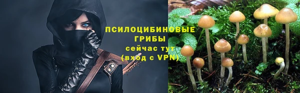 PSILOCYBIN Вязники
