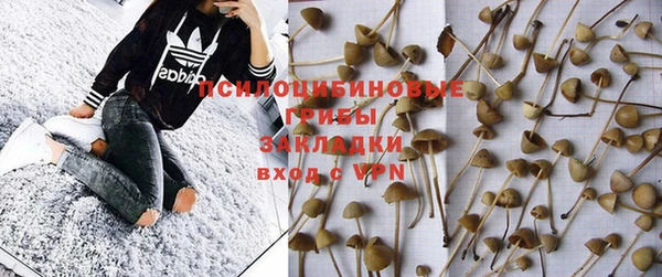 герыч Вяземский