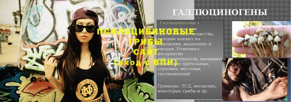 герыч Вяземский