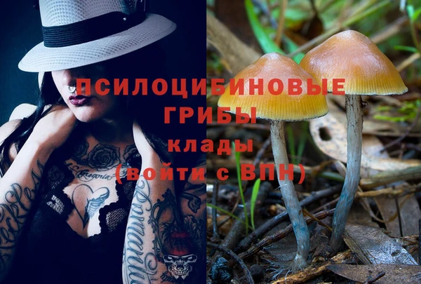 PSILOCYBIN Вязники
